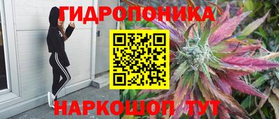 прущие грибы Мариинск