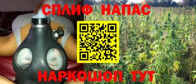 прущие грибы Мариинск