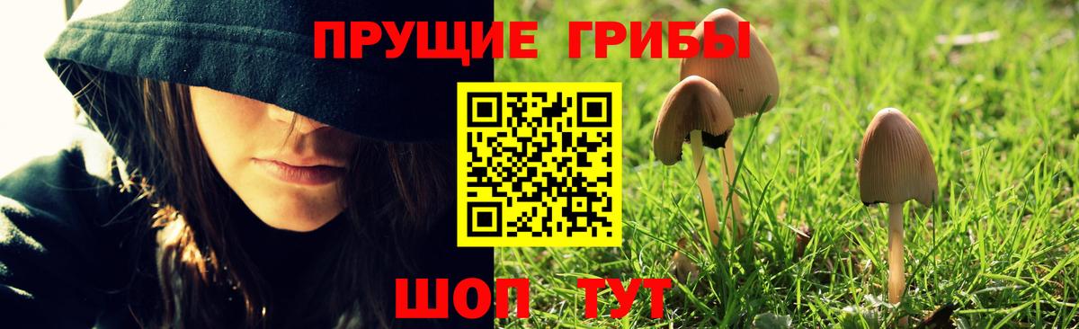 Гулькевичи  Галлюциногенные грибы мицелий  Галлюциногенные грибы MAGIC MUSHROOMS  Вход с VPN 